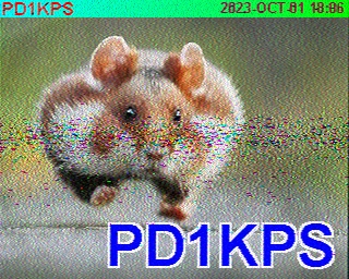 PD1KPS: 2023-10-01 de PI1DFT