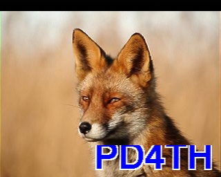 PD4TH: 2024-04-14 de PI1DFT