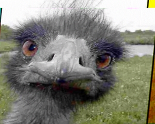 PD2ATG: 2026-02-03 de PI1DFT