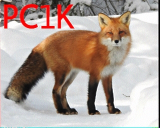 PC1K: 2026-02-15 de PI1DFT