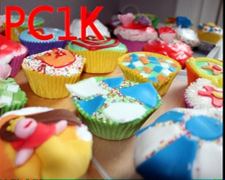 PC1K: 2026-02-15 de PI1DFT