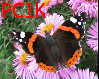 PC1K: 2026-02-19 de PI1DFT