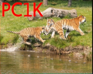 PC1K: 2026-02-20 de PI1DFT