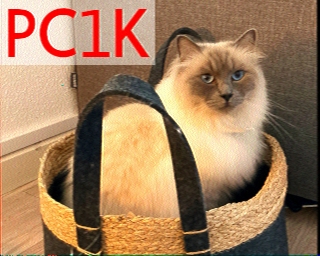 PC1K: 2026-02-22 de PI1DFT