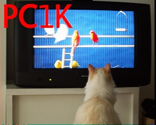 PC1K: 2026-02-24 de PI1DFT