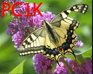 PC1K: 2026-02-24 de PI1DFT