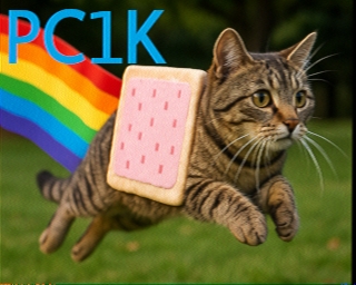 PC1K: 2026-03-07 de PI1DFT