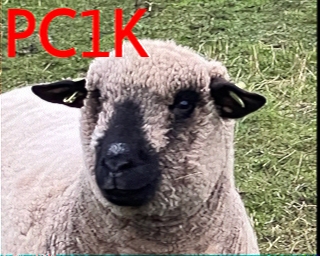 PC1K: 2026-03-10 de PI1DFT