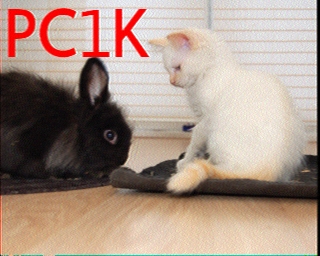 PC1K: 2026-03-13 de PI1DFT