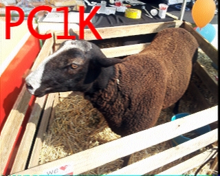 PC1K: 2026-03-17 de PI1DFT