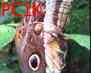 PC1K: 2026-03-29 de PI1DFT