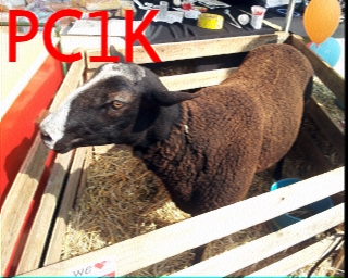 PC1K: 2026-03-30 de PI1DFT