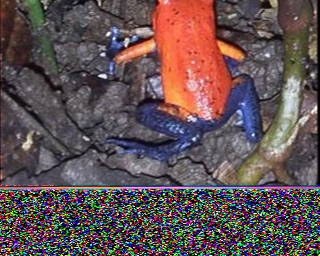 PC1K: 2026-04-01 de PI1DFT