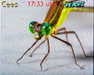 PE7OPI: 2026-04-09 de PI1DFT