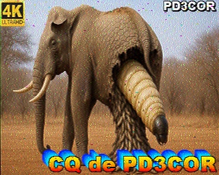 PD3COR: 2026-04-19 de PI1DFT