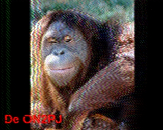 ON2PJ: 2026-04-25 de PI1DFT