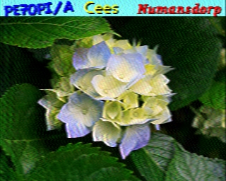 PE7OPI-A: 2026-05-22 de PI1DFT