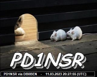 PD1NSR: 2023031120 de PI1DFT