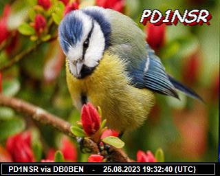 PD1NSR: 2023082519 de PI1DFT