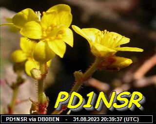 PD1NSR: 2023083120 de PI1DFT