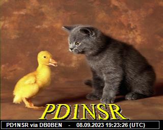 PD1NSR: 2023090819 de PI1DFT
