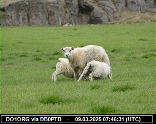 DO1ORG: 2025030908 de DB0BEN