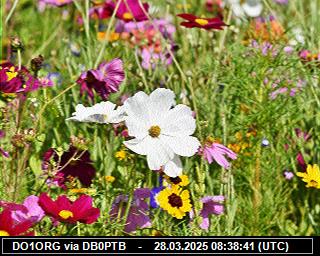 DO1ORG: 2025032809 de DB0BEN