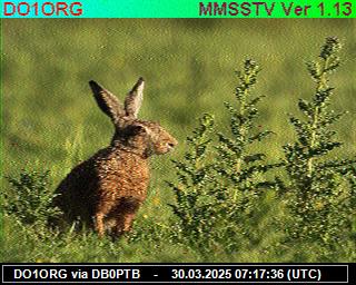 DO1ORG: 2025033009 de DB0BEN