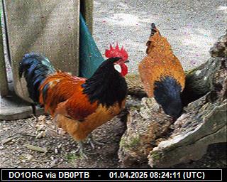 DO1ORG: 2025040110 de DB0BEN