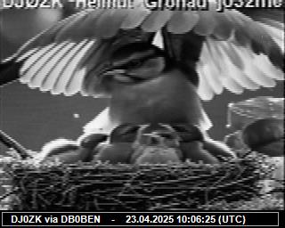 DJ0ZK: 2025042312 de PI1DFT