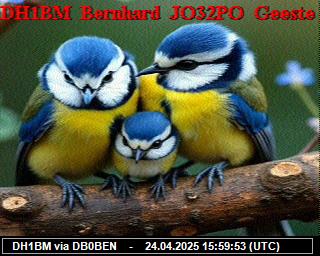 DH1BM: 2025042417 de PI1DFT