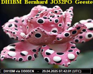 DH1BM: 2025042909 de PI1DFT