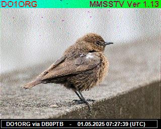 DO1ORG: 2025050109 de DB0BEN