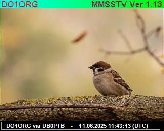 DO1ORG: 2025061113 de DB0BEN