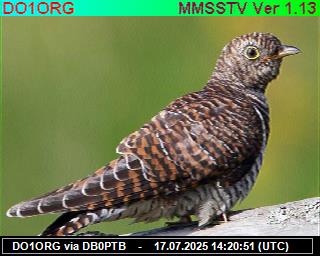 DO1ORG: 2025071716 de DB0BEN