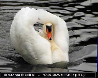 DF9XZ: 2025071718 de PI1DFT