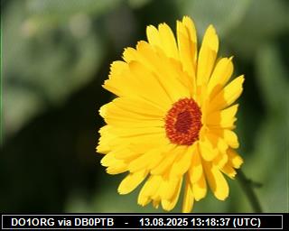 DO1ORG: 2025081315 de DB0BEN
