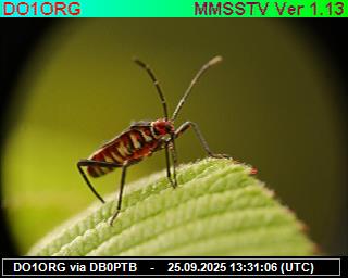 DO1ORG: 2025092515 de DB0BEN