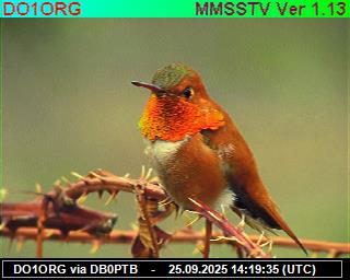 DO1ORG: 2025092516 de DB0BEN