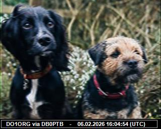 DO1ORG: 2026020617 de PI1DFT