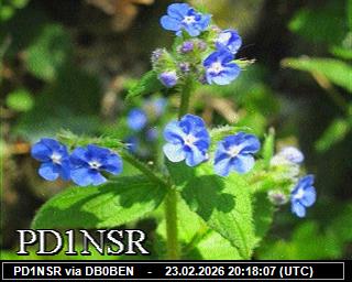 PD1NSR: 2026022321 de PI1DFT