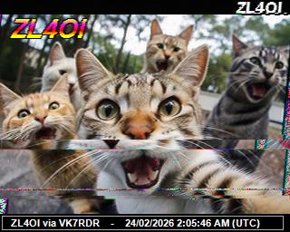 ZL4OI: 2026022403 de DB0BEN