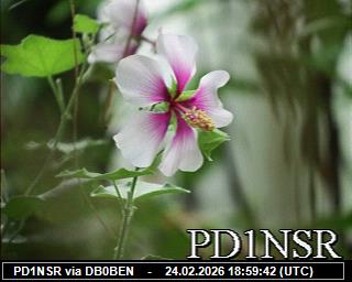 PD1NSR: 2026022420 de PI1DFT