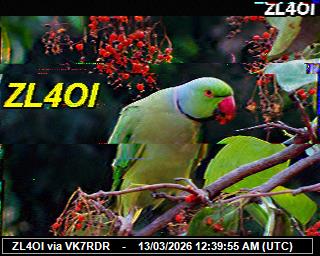 ZL4OI: 2026031301 de DB0BEN