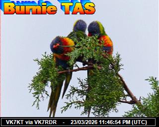 VK7KT: 2026032400 de PI1DFT