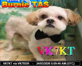 VK7KT: 2026032406 de PI1DFT