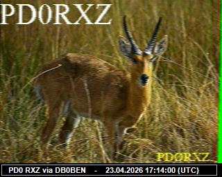 PD0RXZ: 2026042319 de DB0BEN