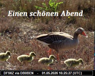 DF9XZ: 2026050118 de DB0BEN