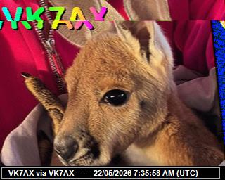 VK7AX: 2026052209 de DB0BEN
