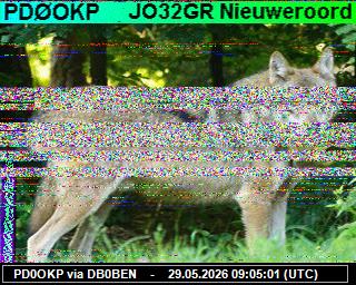 PD0OKP: 2026052911 de DB0BEN